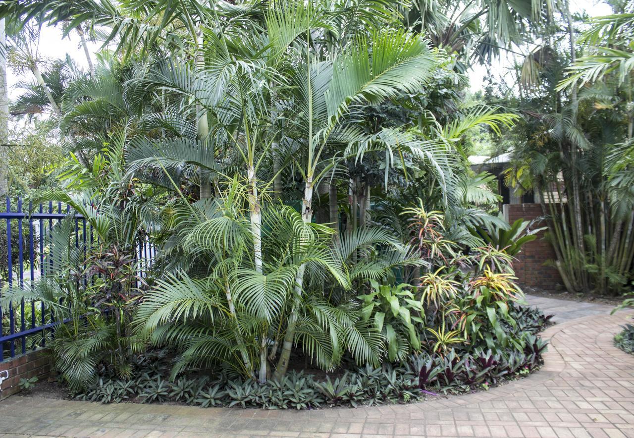 Avalone Guest House Saint Lucia Estuary Dış mekan fotoğraf
